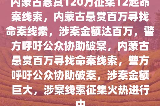 内蒙古悬赏120万征集12起命案线索，内蒙古悬赏百万寻找命案线索，涉案金额达百万，警方呼吁公众协助破案，内蒙古悬赏百万寻找命案线索，警方呼吁公众协助破案，涉案金额巨大，涉案线索征集火热进行中今晚必出三肖2025_2025新澳门精准免费提供·精确判断